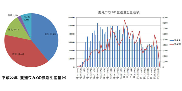 Wakame Farming01 岩手県水産技術センターweb