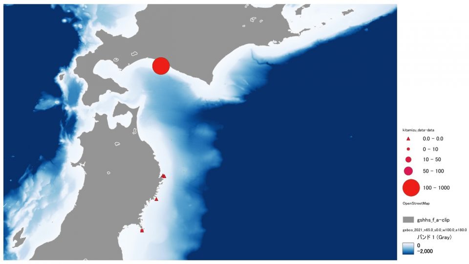 20250514jellyfish_info002