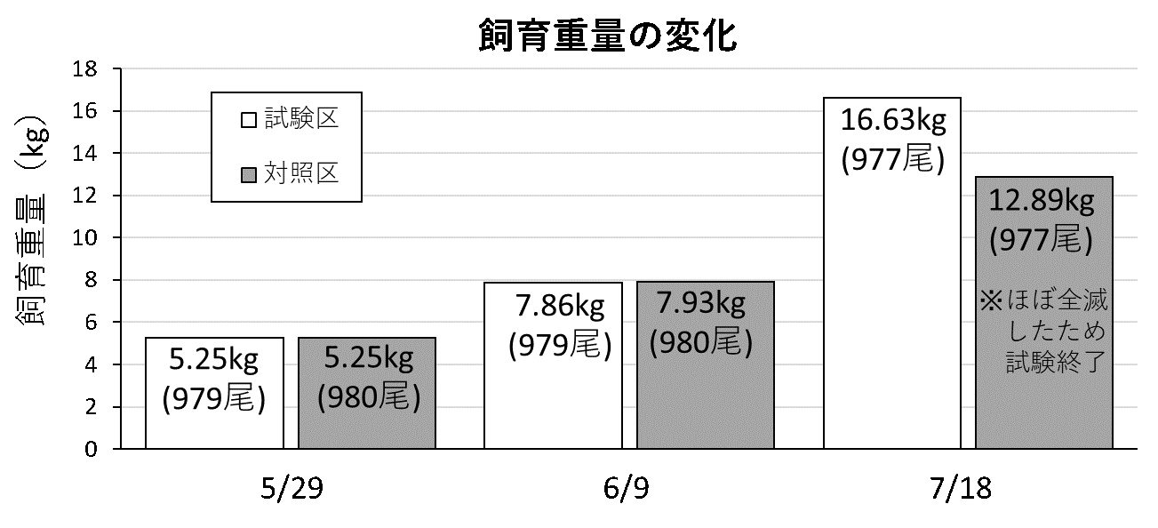 20250703result018