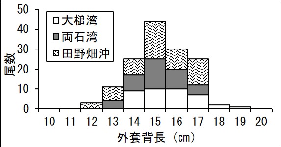 20250728squid_fishing001