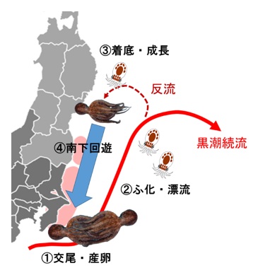 20250912fishery_info001