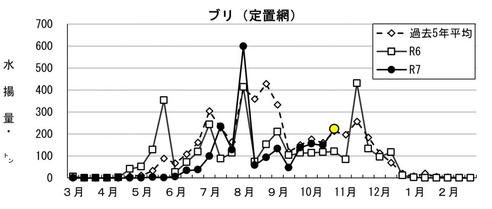 20251112fishery_during001