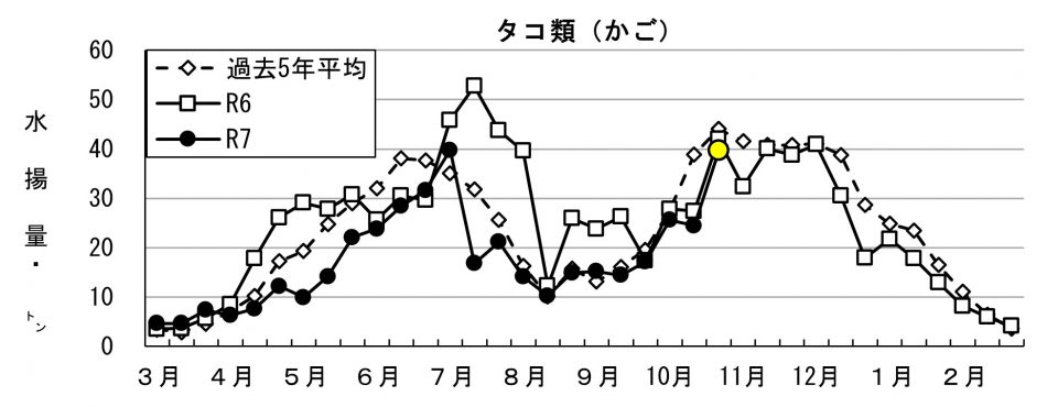 20251112fishery_during003