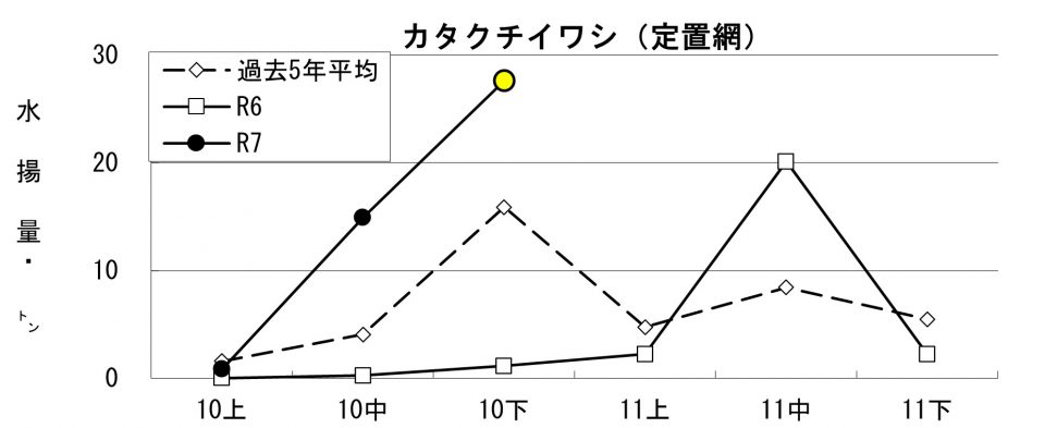 20251112fishery_during004
