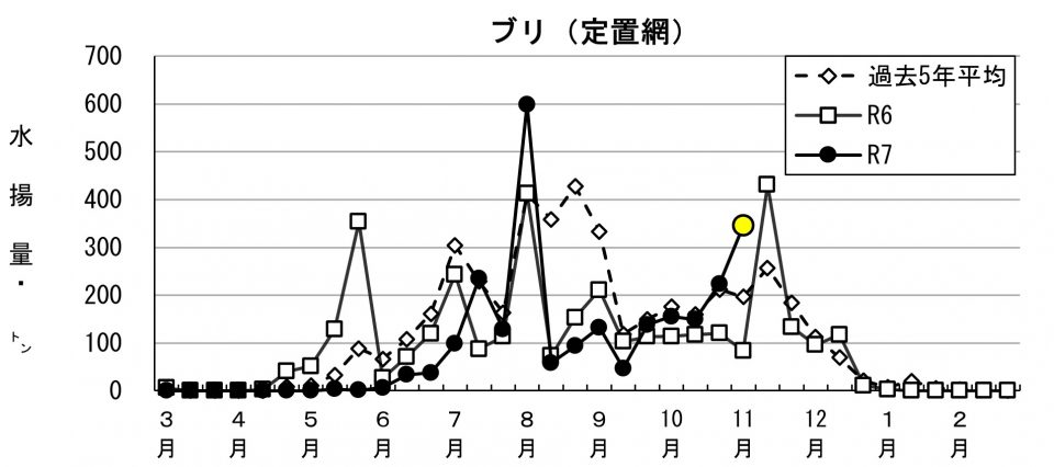 20251117fishery_during001
