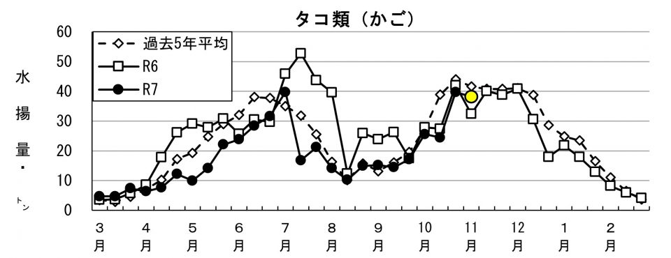 20251117fishery_during003