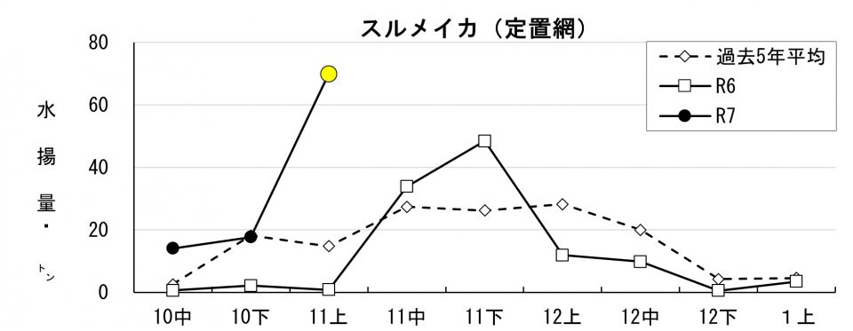 20251117fishery_during004