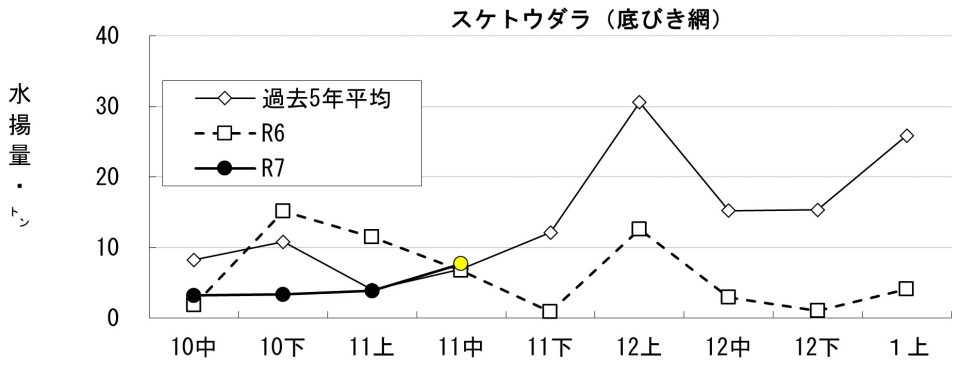 20251126fishery_during004