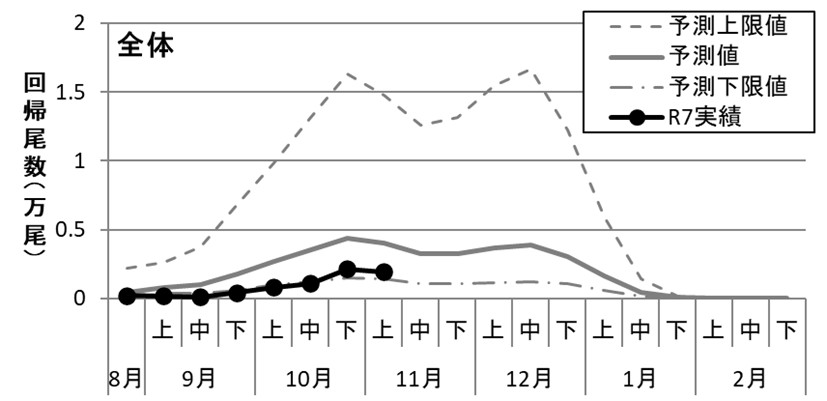 20251126ketacycle001