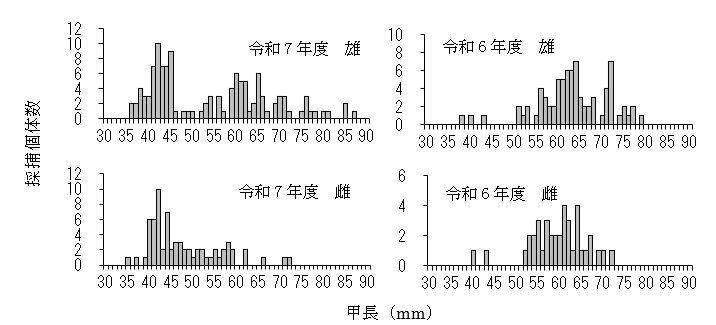 20251204erimacrus_info003
