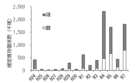 20251204erimacrus_info005