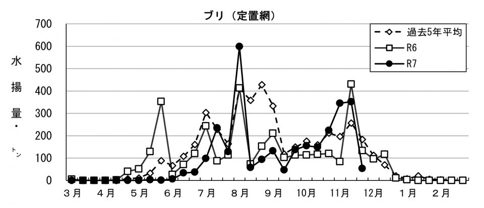 20251204fishery_during001