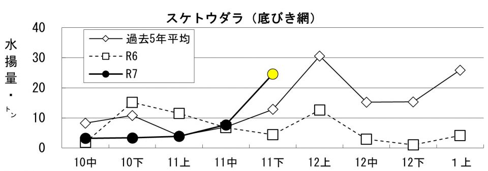 20251204fishery_during004