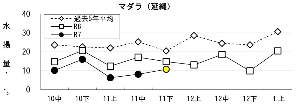 20251204fishery_during005