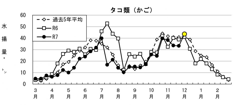 20251216fishery_during002