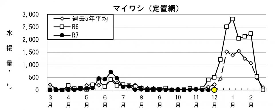 20251216fishery_during003
