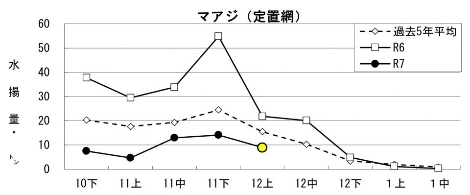 20251216fishery_during004