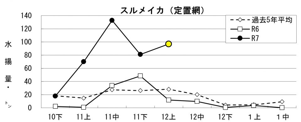20251216fishery_during005