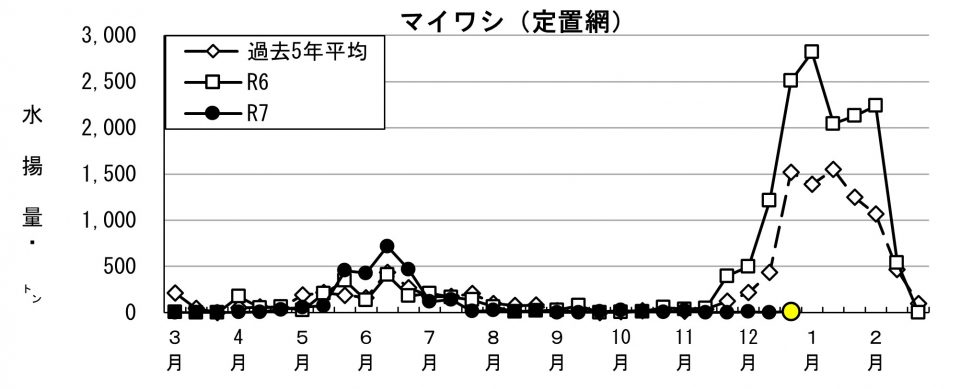 20260108fishery_during003