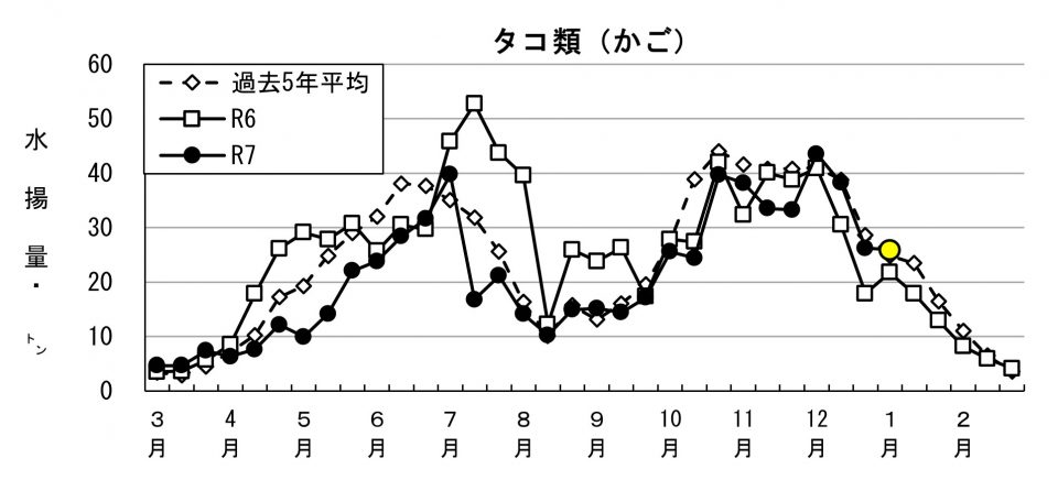 20260115fishery_during002