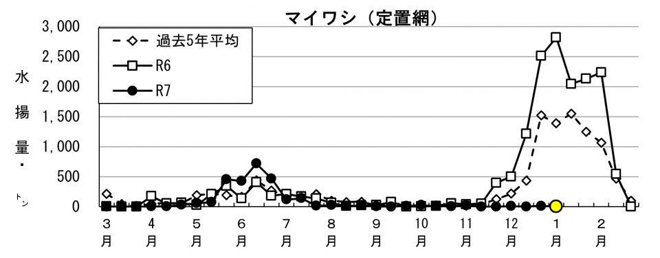 20260115fishery_during003