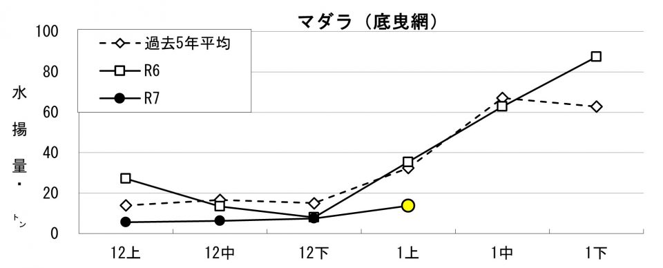 20260115fishery_during005