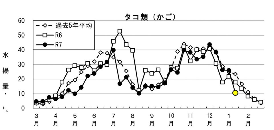 20260126fishery_during002