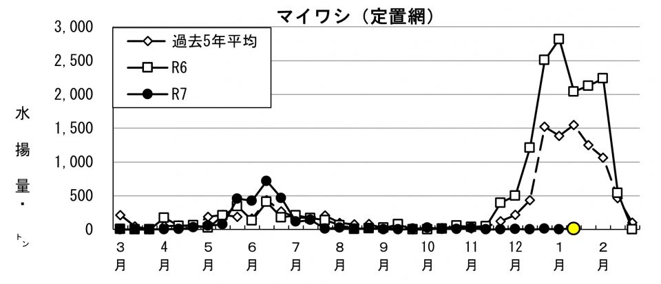 20260126fishery_during003