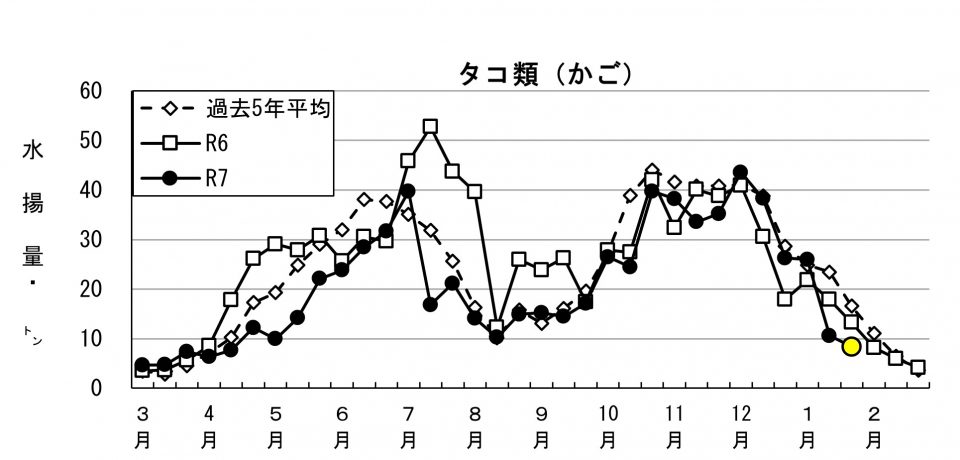 20260205fishery_during002