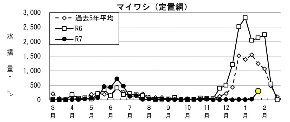 20260205fishery_during003