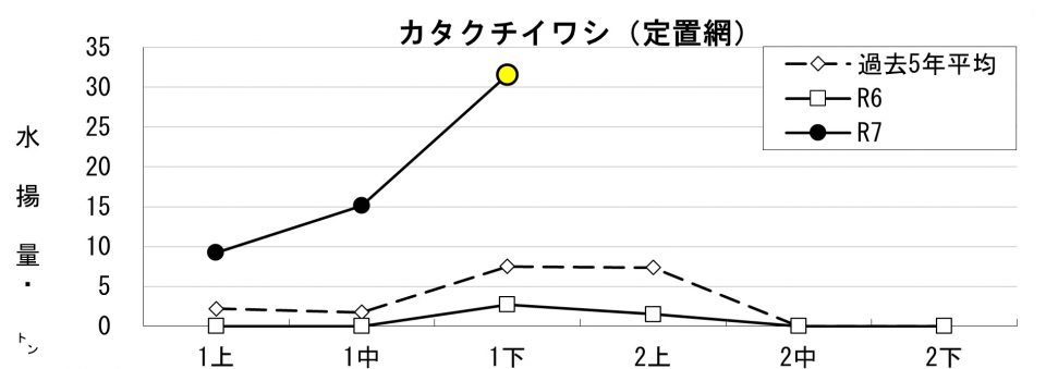 20260205fishery_during004