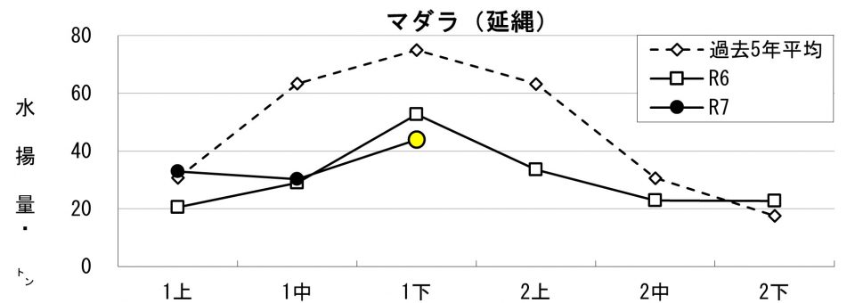 20260205fishery_during005