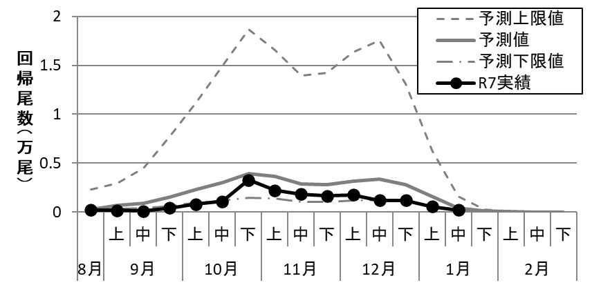 20260205ketacycle001