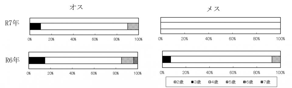 20260205ketacycle002
