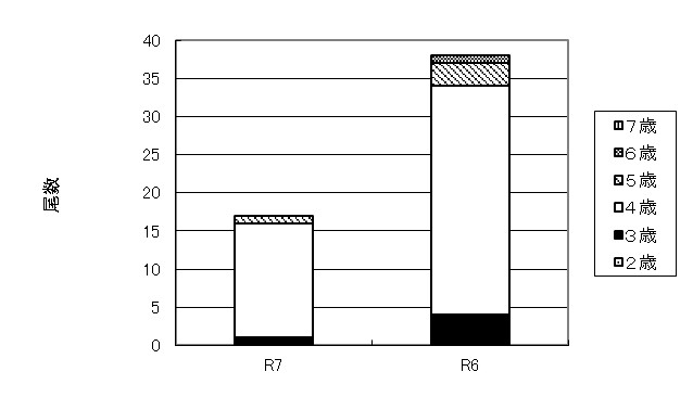 20260205ketacycle003