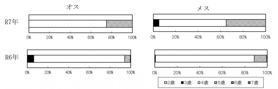 20260205ketacycle004