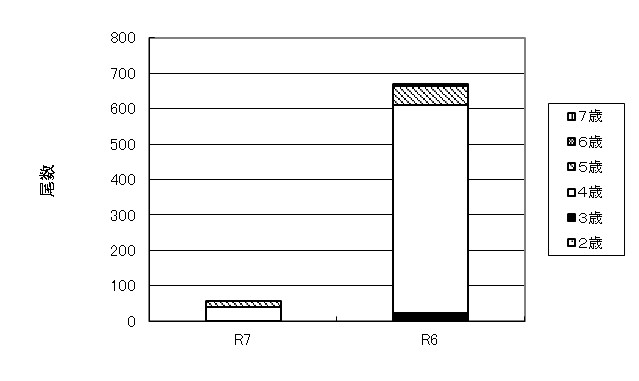 20260205ketacycle005