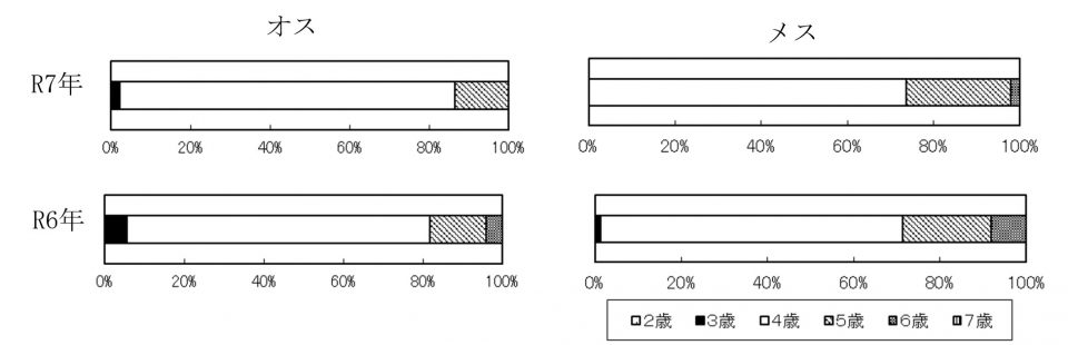 20260205ketacycle006