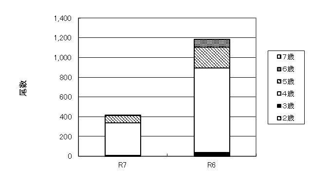 20260205ketacycle007