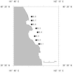 20260304ammodytes_info001