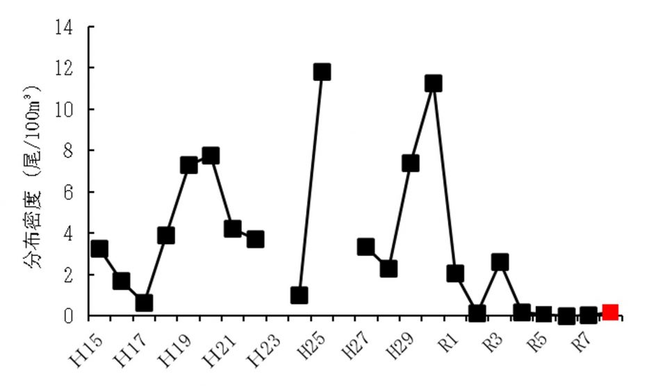 20260304ammodytes_info002