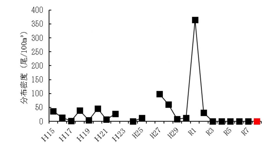 20260304ammodytes_info004