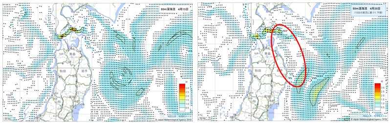 20260416jellyfish_info002
