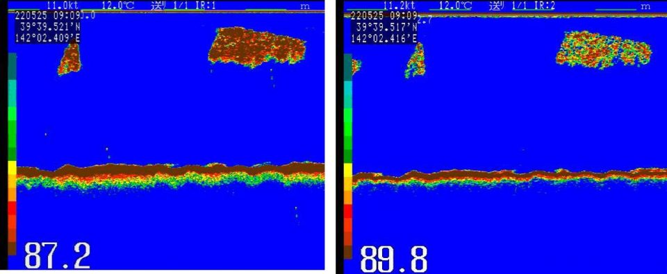 fishesresourcegroup20260423003