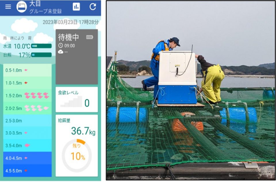 fishesresourcegroup20260423004