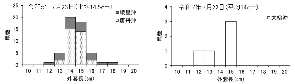 20260724squid_fishing001