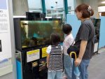 20260731publicevent018
