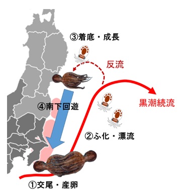20260907fishery_info001