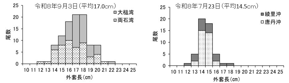 20260907squid_fishing001