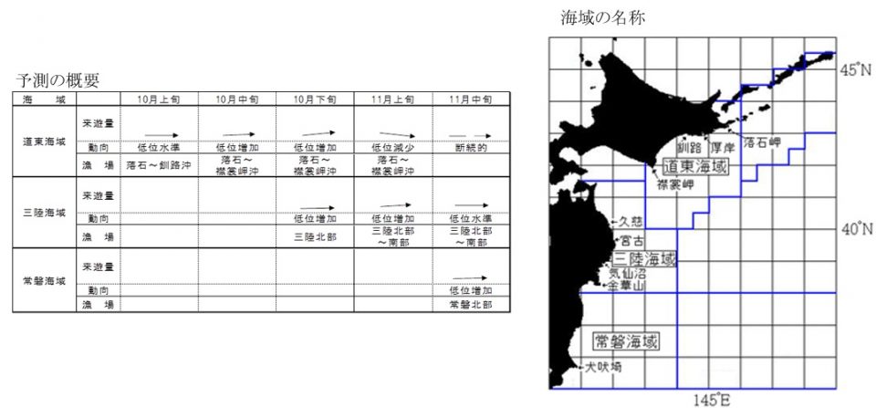 20261001saury_info001